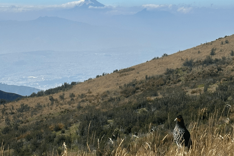 Quito: Hike to the Integral of Pichinchas