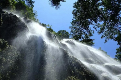 Cebú: tiburones ballena, banco de arena de Sumilon y cascadas de InambakanCebú: tiburón ballena, banco de arena de Sumilon y cataratas de Inambakan