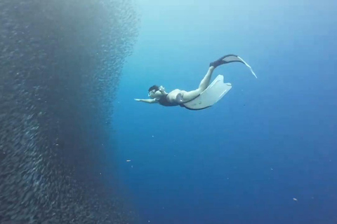 Moalboal: Abenteuer Insel Pescador und Mantayupan-Wasserfälle!