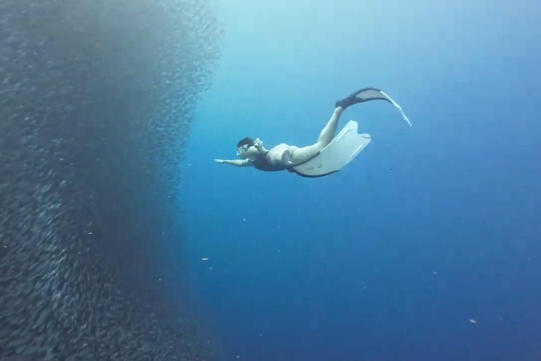 Moalboal : Aventure sur l&#039;île de Pescador et les chutes de Mantayupan !