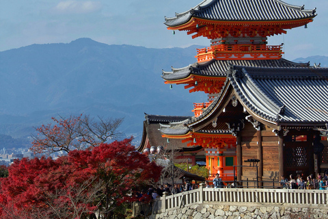 Excursion d&#039;une journée à Kyoto et Osaka avec personne parlant anglais et Nara