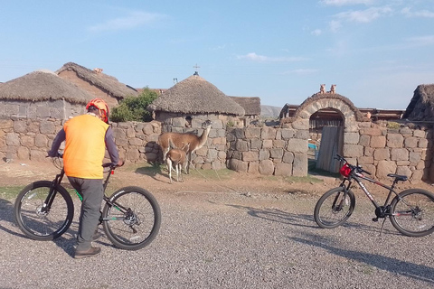 Puno: Sillustani Tombs, Bike Tour - History and Nature