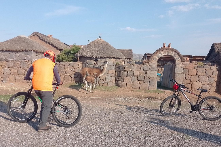 Puno: Sillustani Tombs, Bike Tour - History and Nature