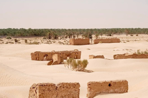 From Djerba: Douz, Matmata Star Wars Sites & local market