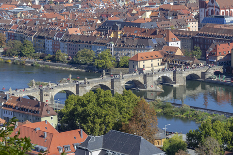 Würzburg: Passeio expresso com um habitante localWürzburg: 60 minutos a pé com um local