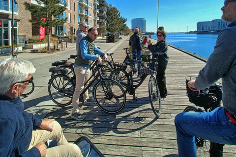Copenhagen Architecture: 3-Hour Expert-Led Bike Tour Private Tour - EN/FR/ES/IT - 3 hours