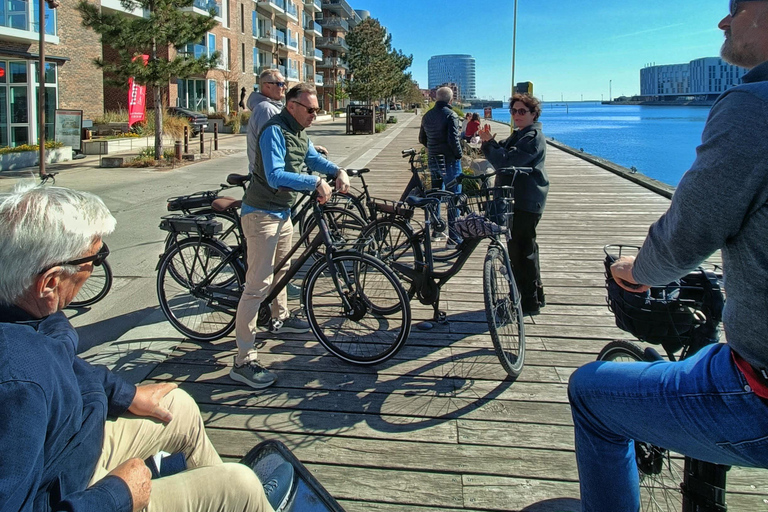 Copenhagen Architecture: 3-Hour Expert-Led Bike Tour Private Tour - EN/FR/ES/IT - 3 hours
