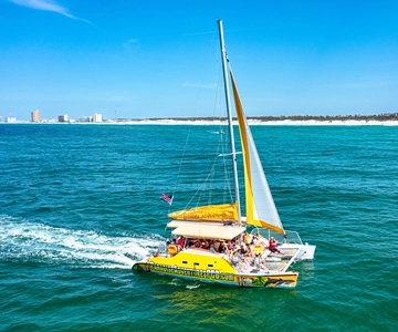 Shell Island: Snorkel & Dolphin Tour on Footloose Catamaran