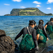 Jeju: Eastern UNESCO & Must-See Day Tour with Haenyeo Show