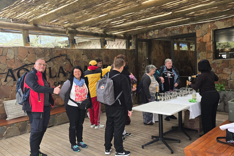 Cape Town: Cruise Passengers sunset Safari & Wine Tour