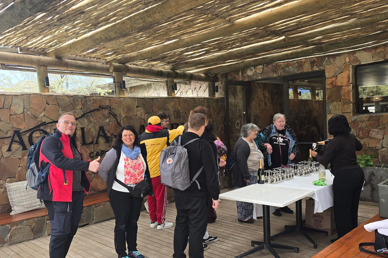 Cape Town: Cruise Passengers sunset Safari & Wine Tour