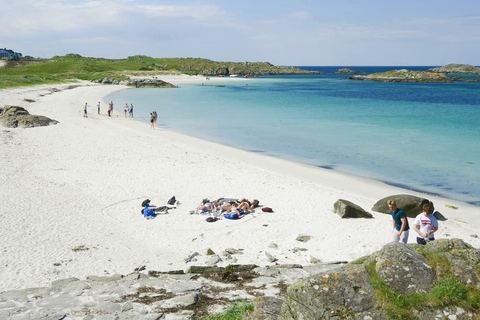 从豪格松出发卡姆伊和挪威文化岸上游