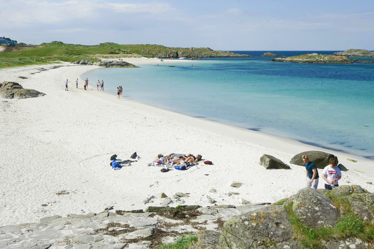 从豪格松出发卡姆伊和挪威文化岸上游