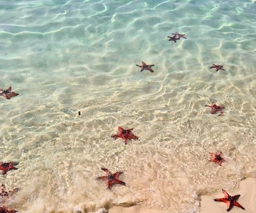 Phu Quoc: Kajakpaddling med Starfish Beach och rundtur på biodling