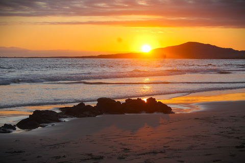 GALÁPAGOS: Island hopping trip, including Quito 12 days GALÁPAGOS: Island Hopping Tour, including Quito 12 days