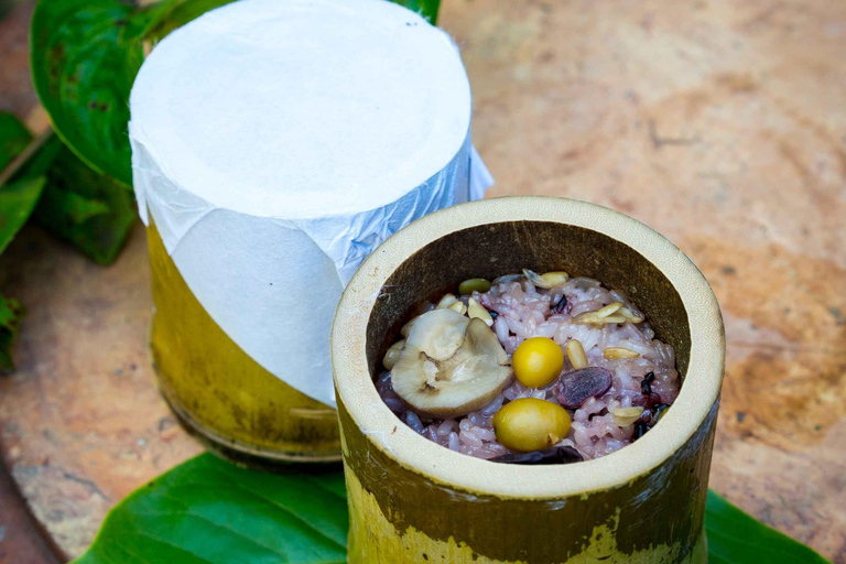 Busan: Damyang Juknokwon Bamboo Forest & Metasequoia Road Damyang Autumn Group Tour, Meet at Busan Subway Station