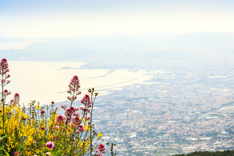 Da Napoli: tour di un giorno intero a Pompei, Ercolano e Vesuvio