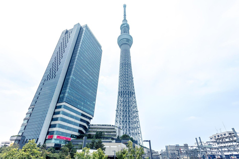 Tour di un giorno a Tokyo Skytree Meiji Shrine con autista in inglese