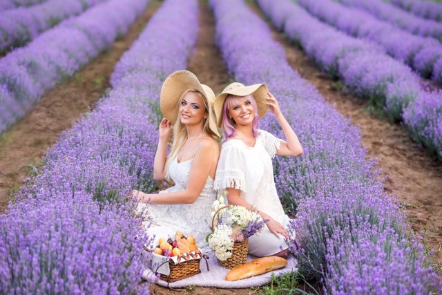 Visit From Madrid: Brihuega Lavender Fields Guided Tour in Brihuega