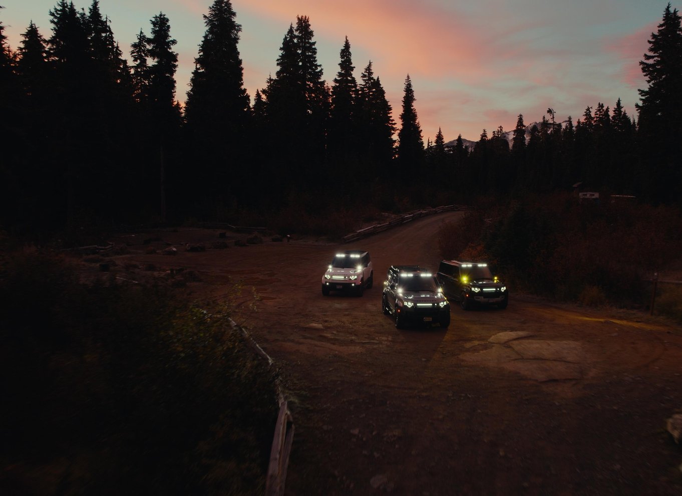 Whistler: Morgen med bjørnene Land Rover naturskøn udflugt