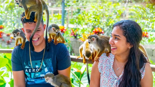 Punta Cana: Monkey Land Half-Day Safari and Plantation
