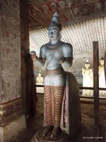 Negombo, tutto compreso;Dambulla, Elephant Safari & Village - Housity