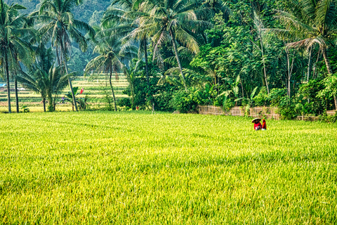 Dimbulagala Eco Trekking and Village Tour From Polonnaruwa