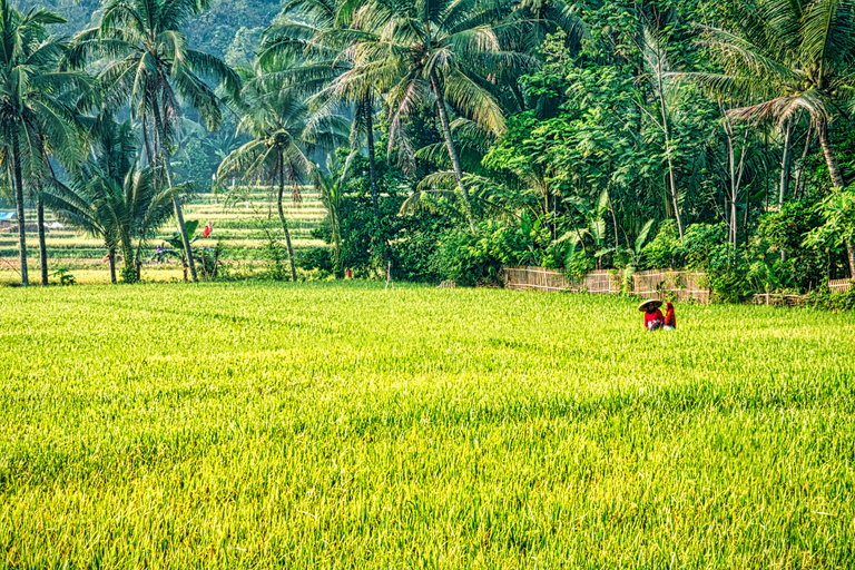 Dimbulagala Eco Trekking and Village Tour From Polonnaruwa