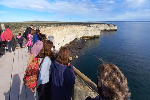 Puerto Madryn: Punta Loma Sea Lion Reserve Tour with Pickup