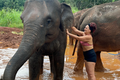 Chiang Mai: Doi Inthanon und Elefanten-Schutzgebiet TourTreffpunkt