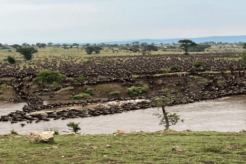 Kenia: 6 Tage Spirit of Kenya Tented Tour