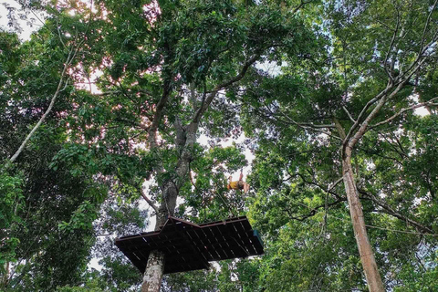 Panamá: Ilha dos Macacos e passeio de tirolesa pela floresta tropical de Gamboa