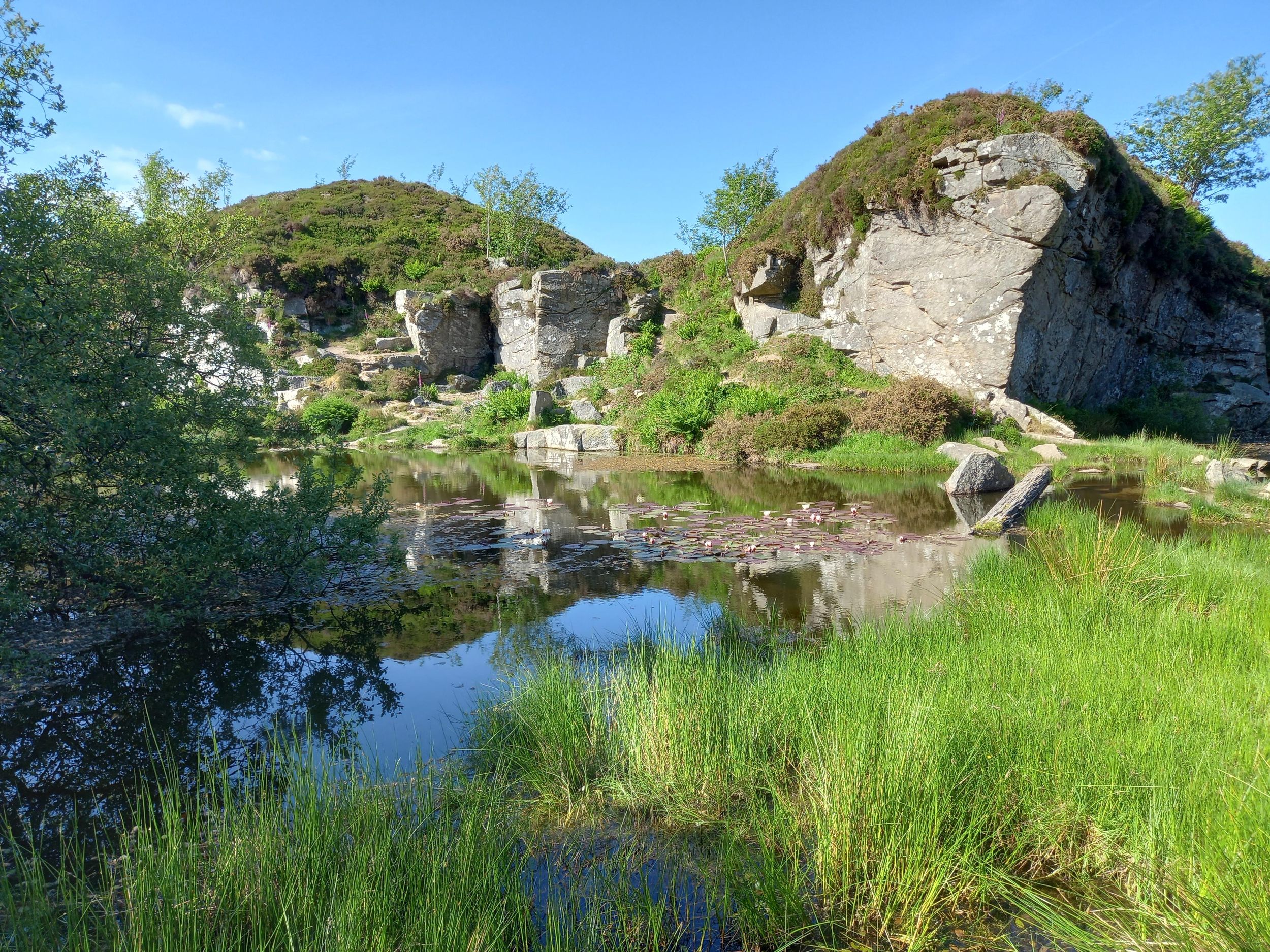 Devon: Dartmoor Nationalpark Führung