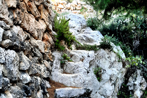 Gozo dévoilé : Randonnée guidée avec escalade de blocsGozo dévoilé : Randonnée guidée avec escalade de bloc