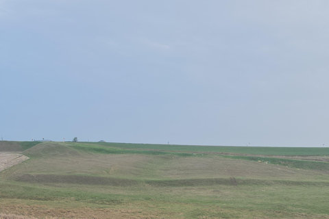 ATV Adventure near Bucharest - Hills, River & Forest Trails