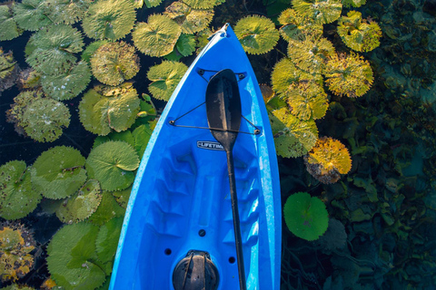 From Monterrey: Tour a Cuatro Ciénegas one day tour
