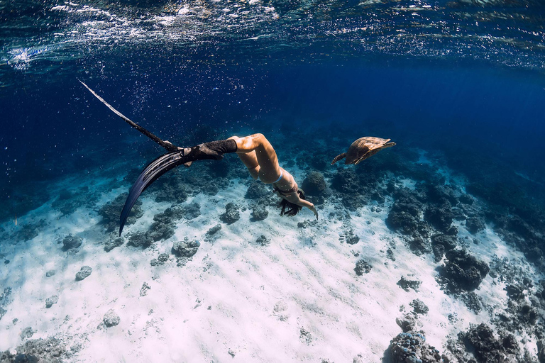 Gili Trawangan: Gruppi di snorkeling nei tre punti principaliOpzione 1: Snorkeling condiviso di 4 ore (punto di incontro Gili T)