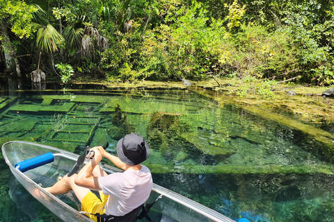 Silver Springs: Manatees and Monkeys Clear Kayak Guided Tour