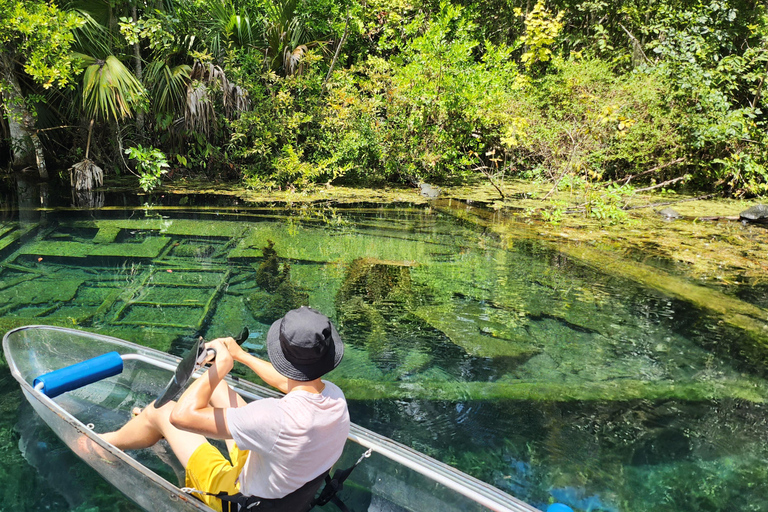 Silver Springs: Manatíes y Monos Excursión guiada en kayak transparenteSilver Springs: Manatíes y Monos Excursión Guiada en Kayak Claro