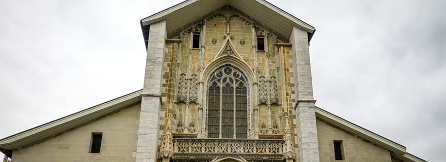 Chambéry : visite à pied de 2 heures avec un habitant