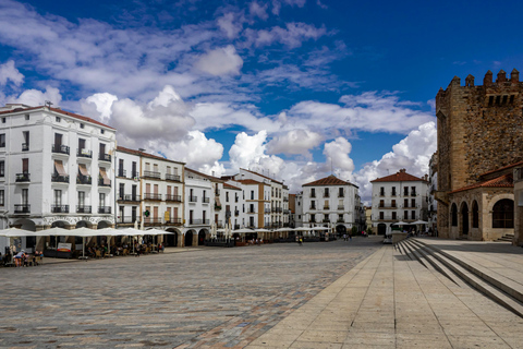 Cáceres Monumental Tour: Your First Introduction to Cáceres Monuments of Cáceres Tour: Your First Glimpse of Cáceres in English