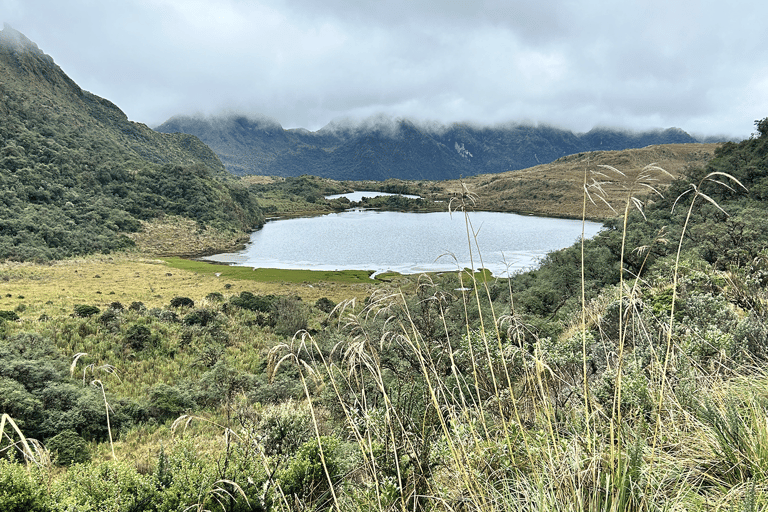 Papallacta: Caminata Ruta del Agua y vida