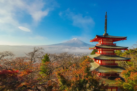 Tokyo: Private Daytrip to Mount Fuji - Fully Customizable Mt Fuji Private Luxury Van Tour (Customizable Experience)