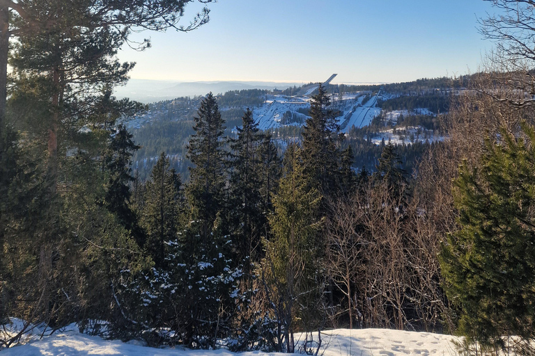 Panoramagipfel – Oslos beste Wanderung mit Blick auf die FjordePanoramische Gipfel – Oslos beste Wanderung mit Fjordblick