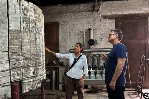 Lima: Wine adventure, Pisco Tasting tour, Snacks & transport