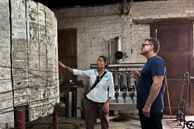 Lima: Wine adventure, Pisco Tasting tour, Snacks & transport