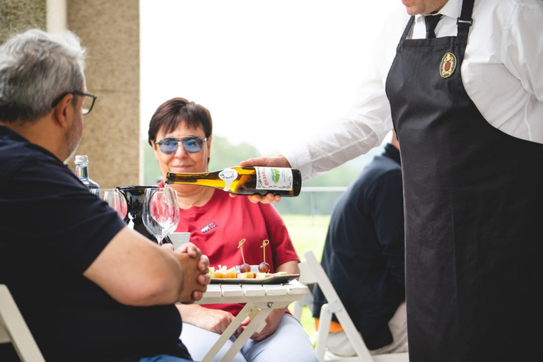 Granbazán Winery: Guided Tour and Wine Tasting Bodegas Granbazán: Visita Guiada y Cata de Vinos (Español)