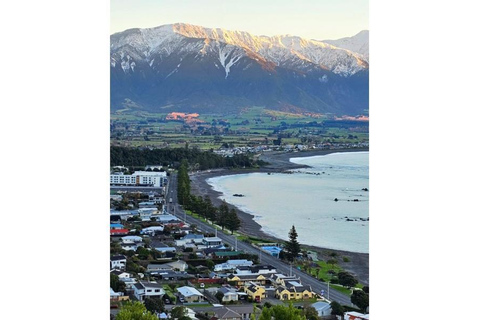 Lyttelton Port: Day Tour 3 options for Cruise Passengers Kaikoura Whale Watching Return Day Tour