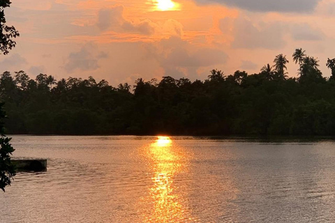 Galle: Koggala River Boat Safari with Monkeys Birds & Nature