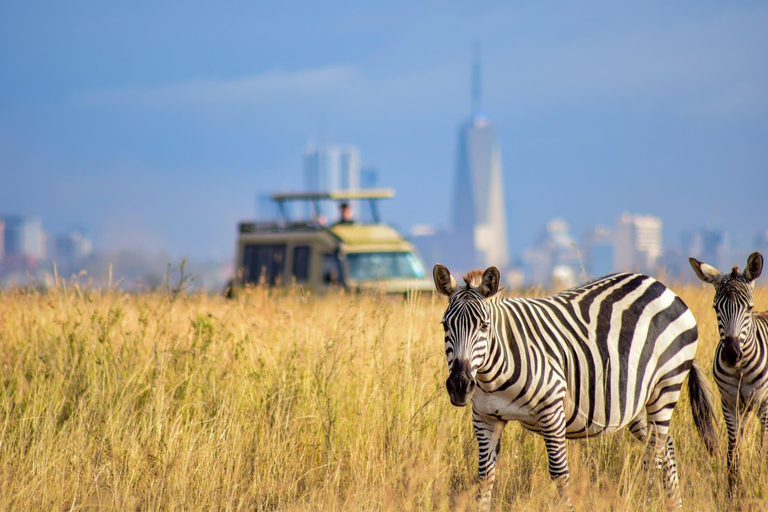 Nairobi: Nairobi National Park and Masai Collection Tour